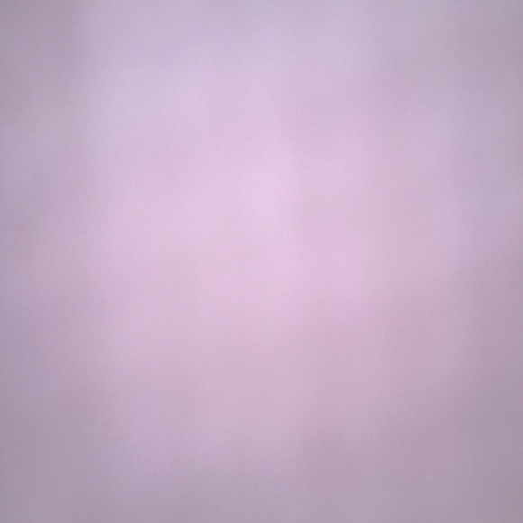 lilyforegger